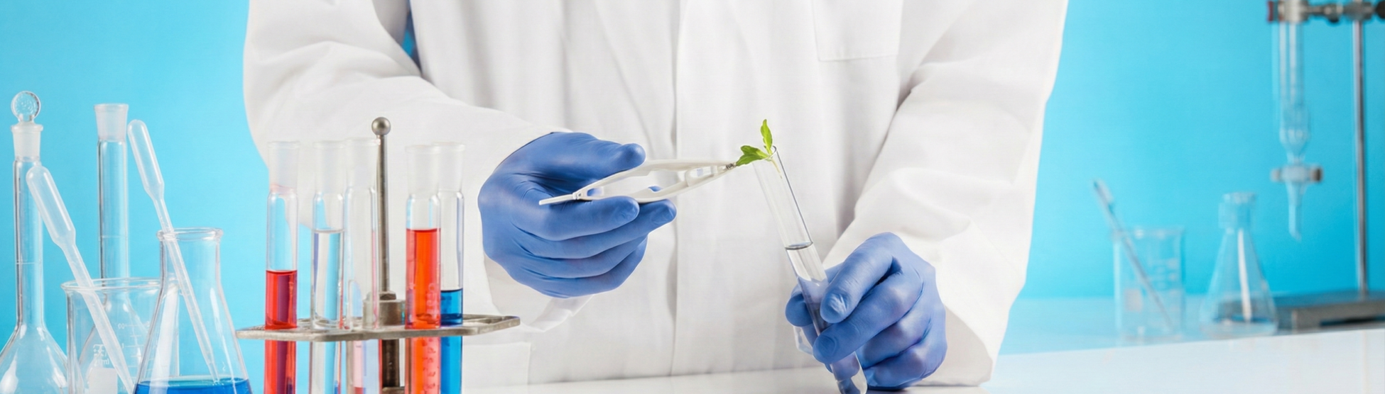 Imagem da capa do grupo