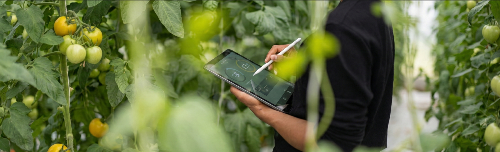 Imagem da capa do grupo