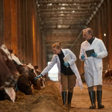 Logo do grupo Zootecnia 🐄