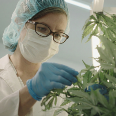 Logo do grupo Naturologia 🌿