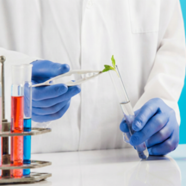 Logo do grupo Química ⚗️🧪