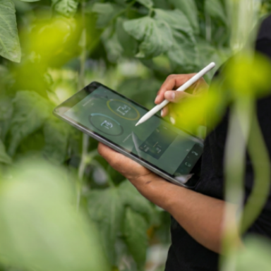 Logo do grupo Gestão do Agronegócio 🌾